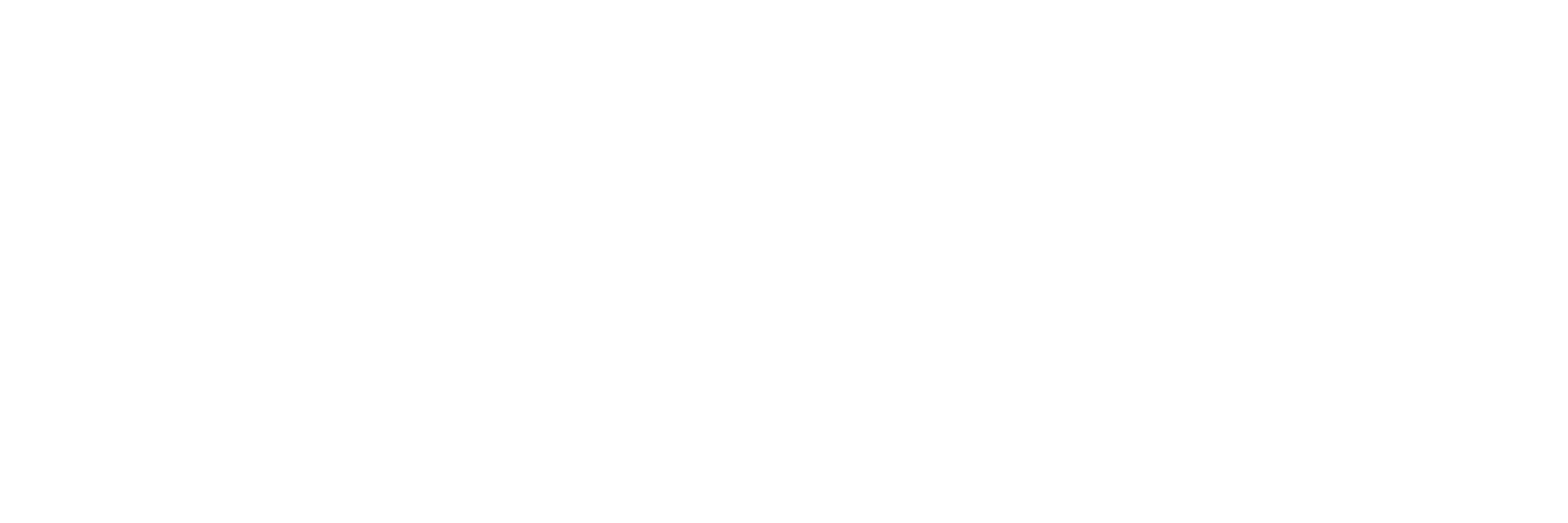DTour_Final_Logos_Outlined_DTOUR_LOGO_FULL_WHITE_5 (3).png